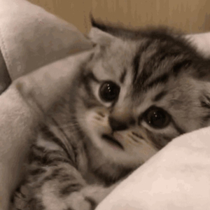 男女乱伦做爱图片
