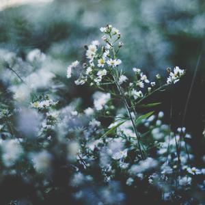 男女乱伦做爱图片
